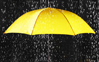 Stump-Metal-Roofs-Withstand-Bad-Weather.jpg